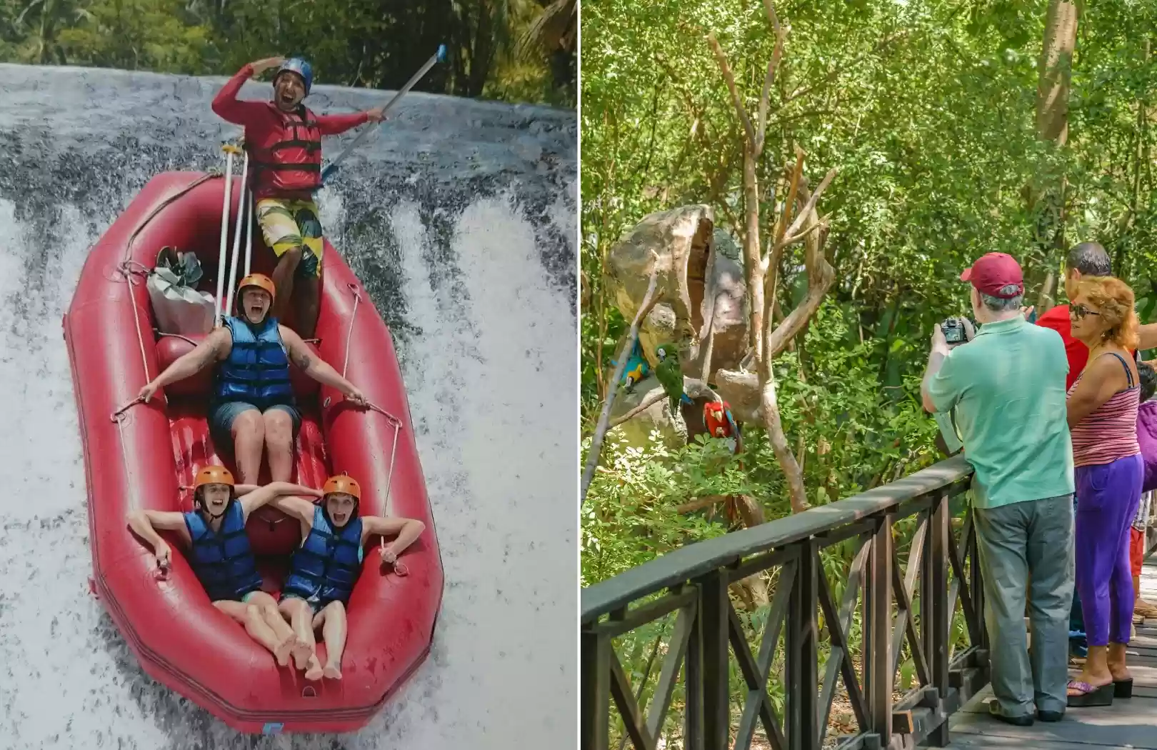 Ayung River Rafting and Bali Zoo Elephant Expedition Tour