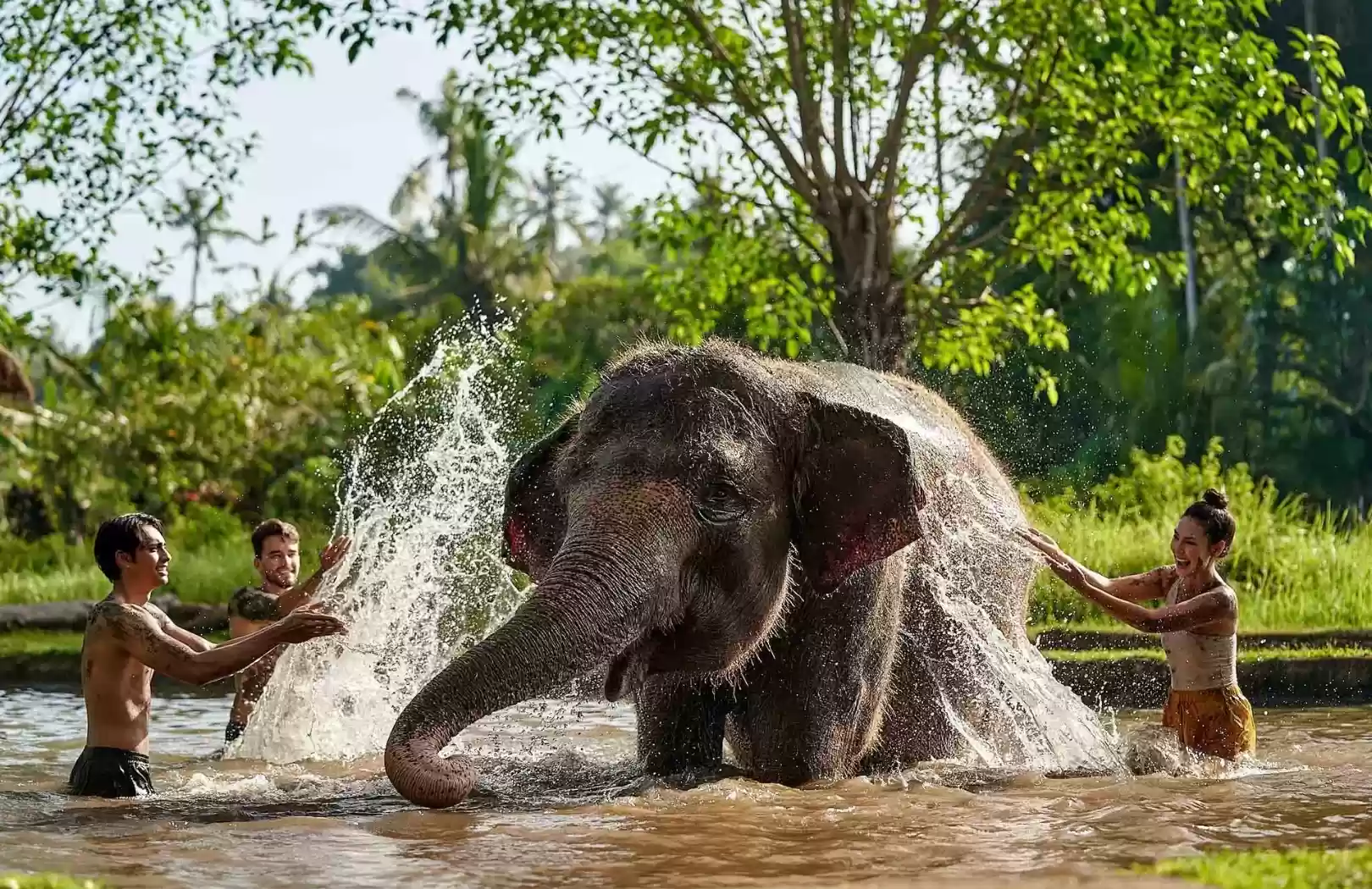 Ayung River White Water Rafting and Elephant Mud Fun Tour at Bali Zoo