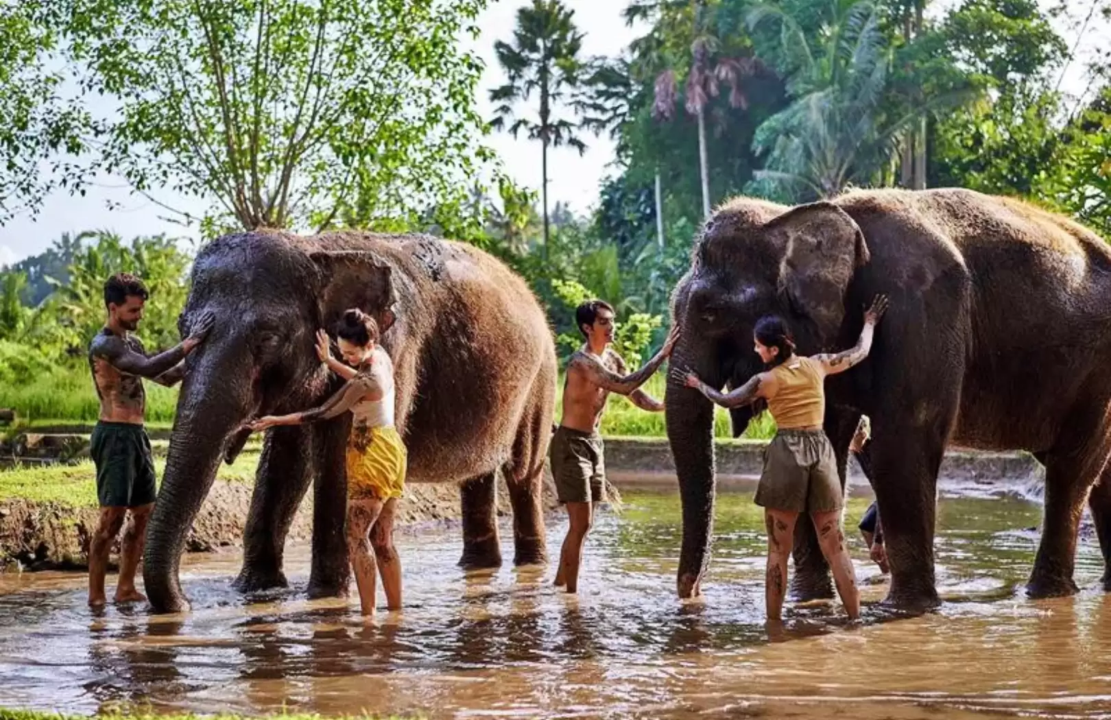 Ayung River White Water Rafting and Elephant Mud Fun Tour at Bali Zoo