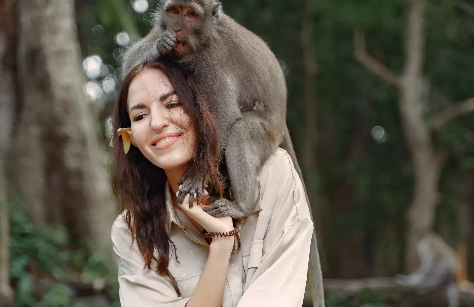 Bali Jungle Buggy, Ayung River Rafting & Ubud Monkey Forest Tour