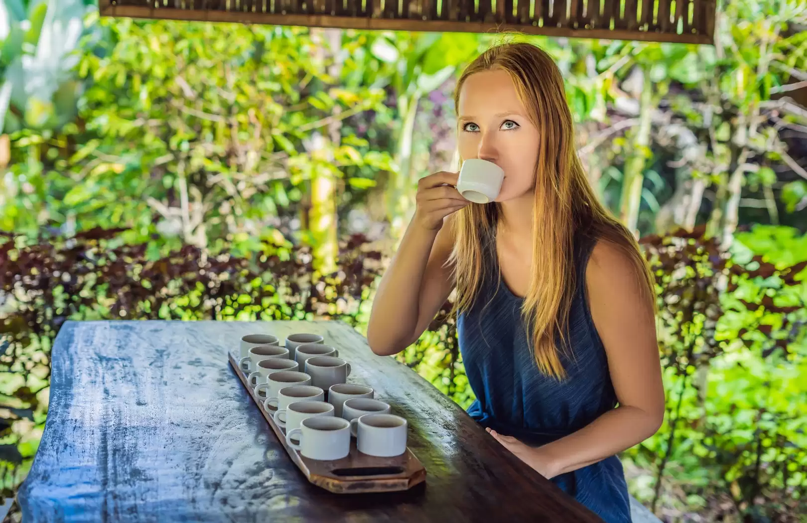 Ubud With Coffee Plantation Tour