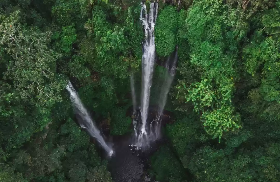 Sekumpul Waterfall Hike – A Hidden Gem for Nature Lovers