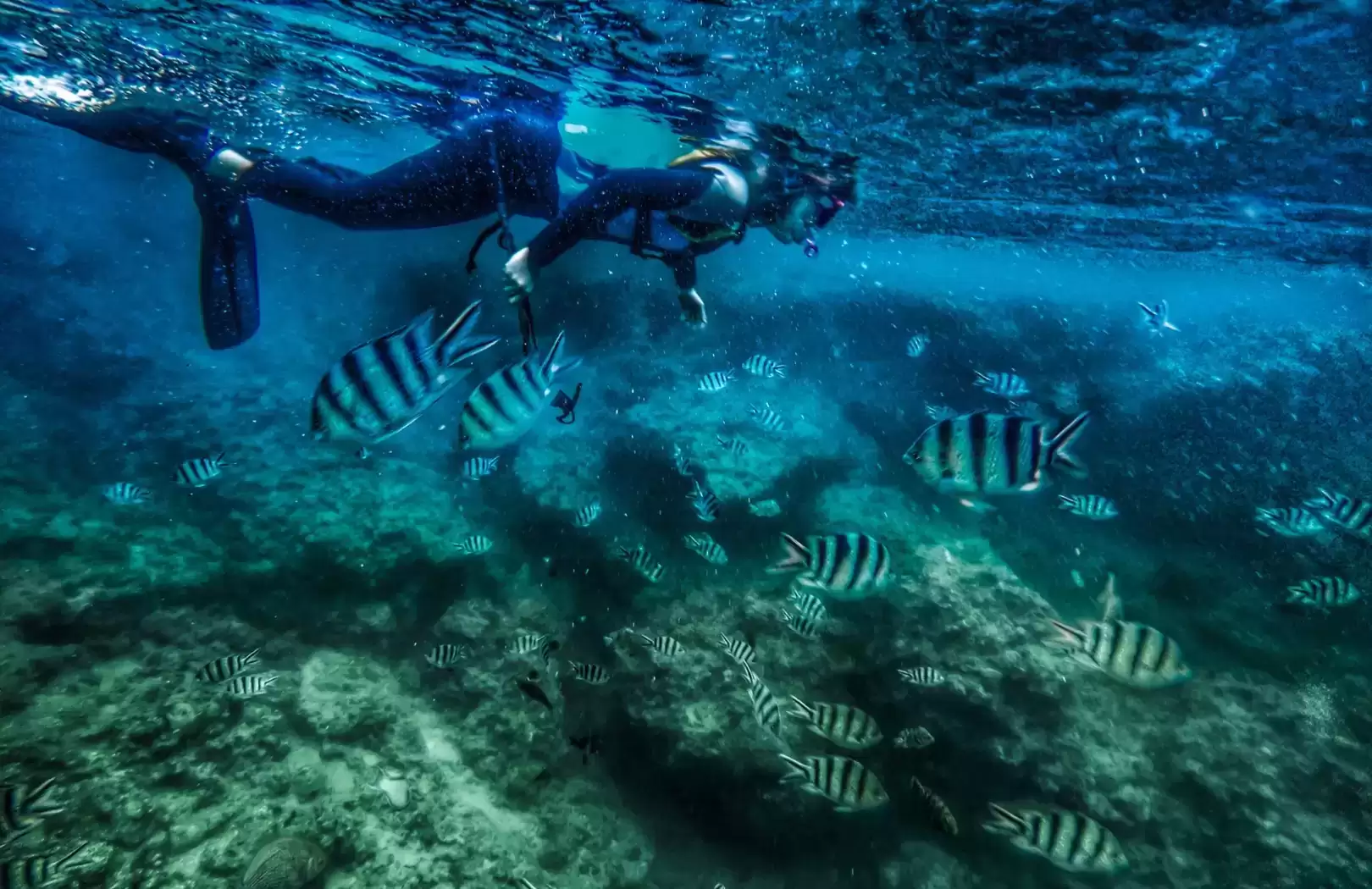 Bali Blue Lagoon Snorkeling with Private Transfer & Lunch
