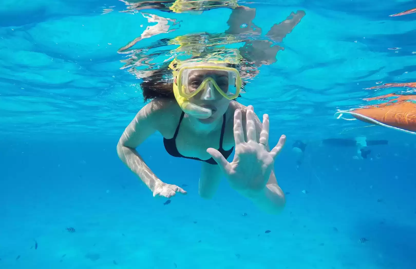 Bali Blue Lagoon Snorkeling with Private Transfer & Lunch
