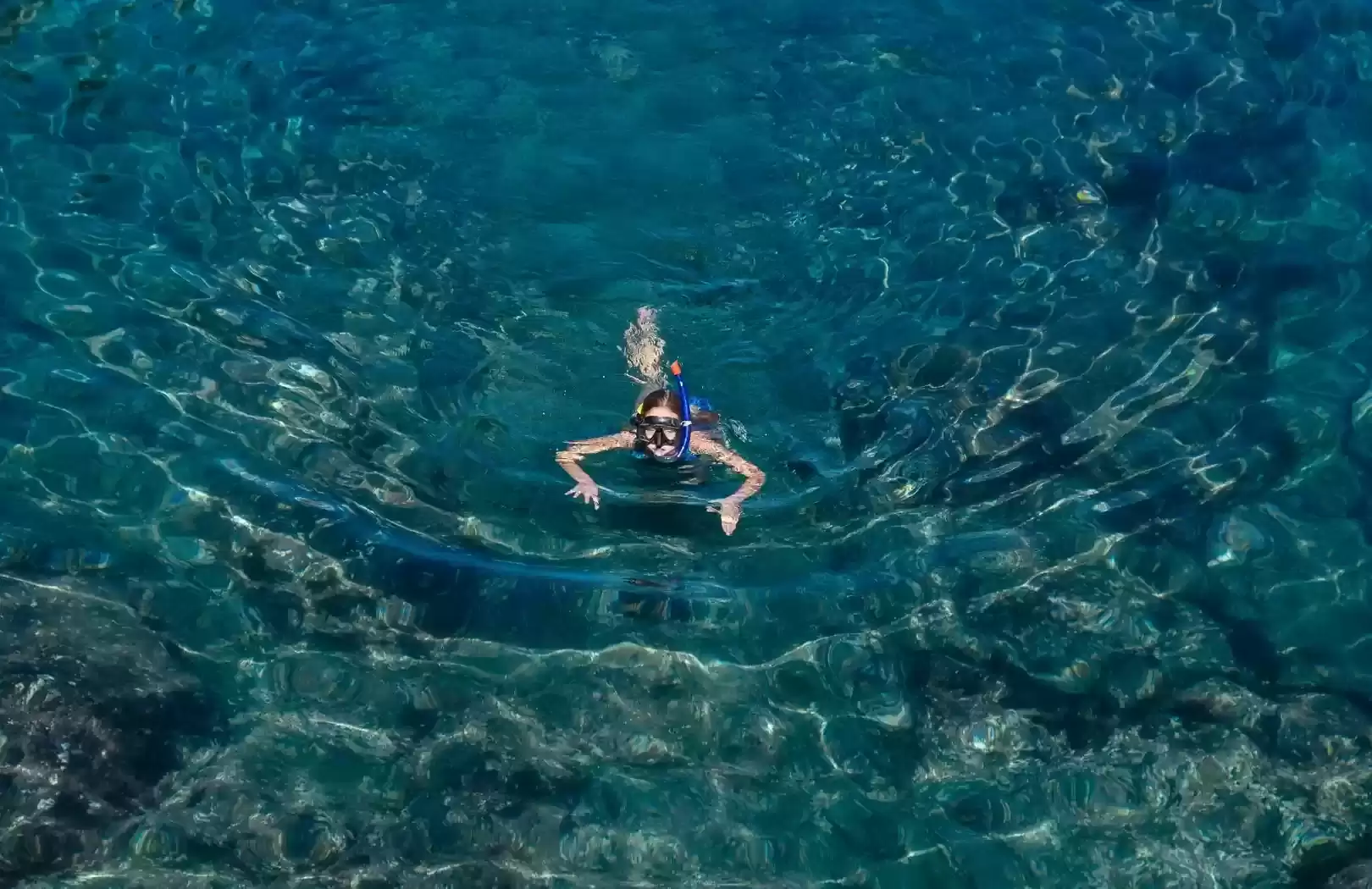 Bali Blue Lagoon Snorkeling with Private Transfer & Lunch