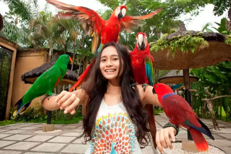 3D2N Bali Bird Park-Sunset Dinner Cruise ( MTB 301-E )