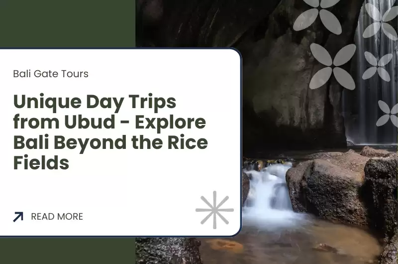 Unique Day Trips from Ubud - Explore Bali Beyond the Rice Fields