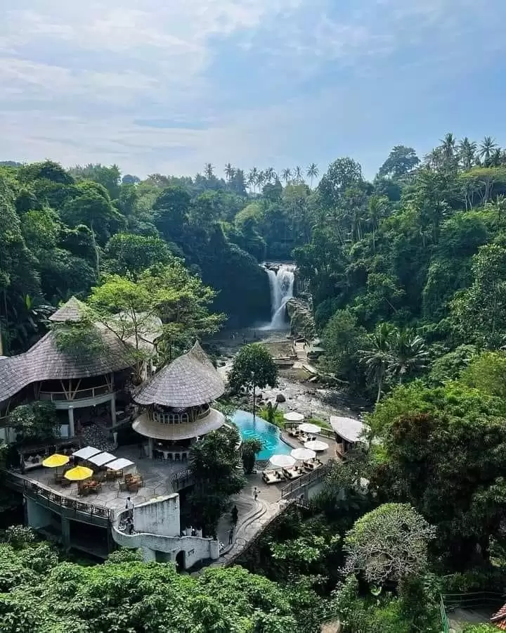 Bali ATV - Ubud Tour (Monkey Forest & waterfall )