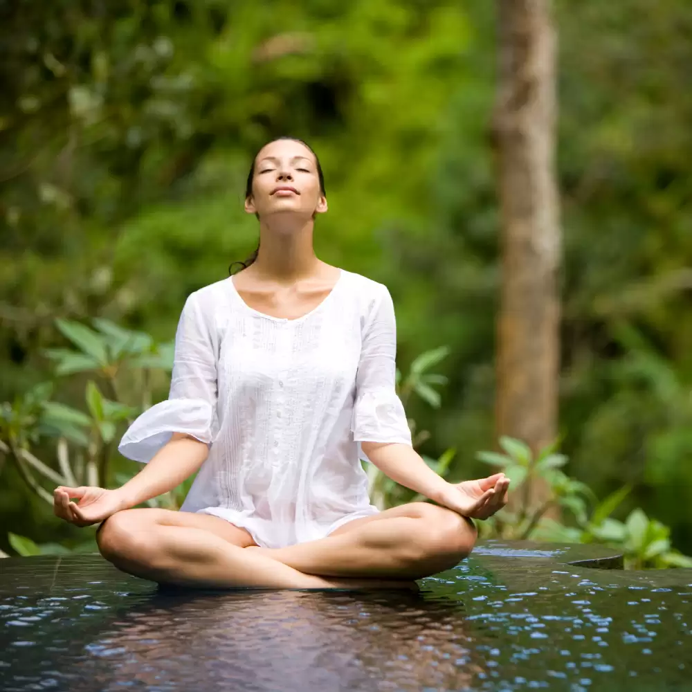 Yoga & Meditation Session