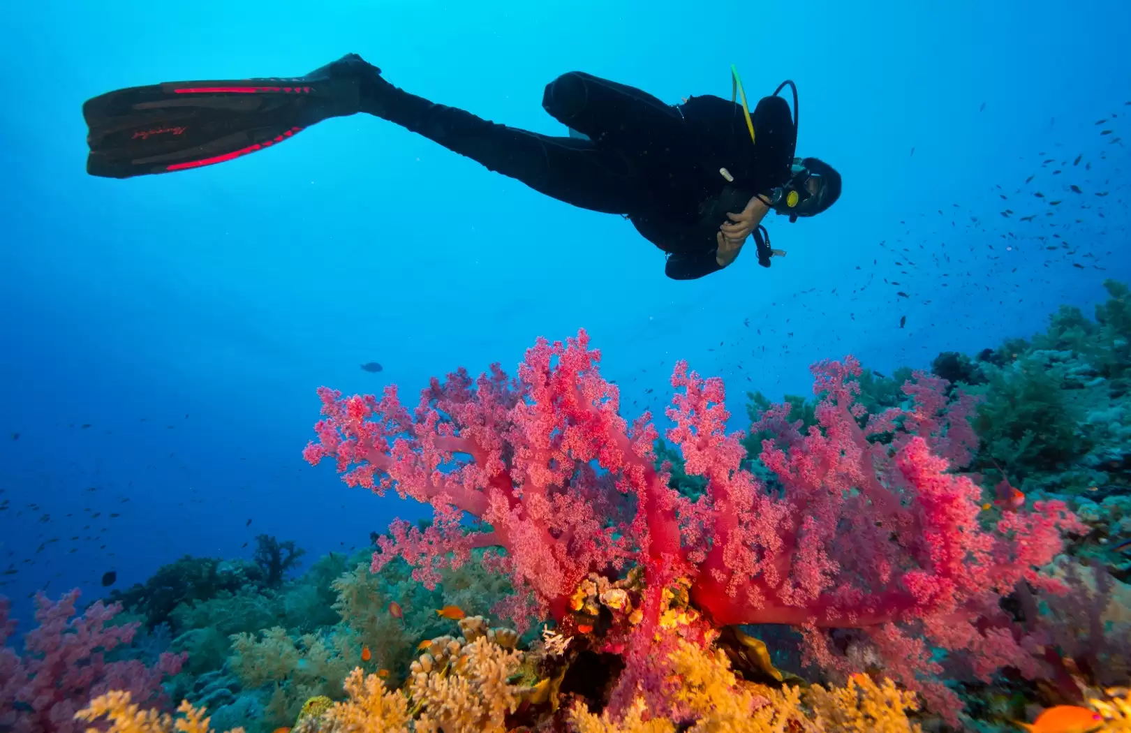 Padangbai Blue Lagoon Diving