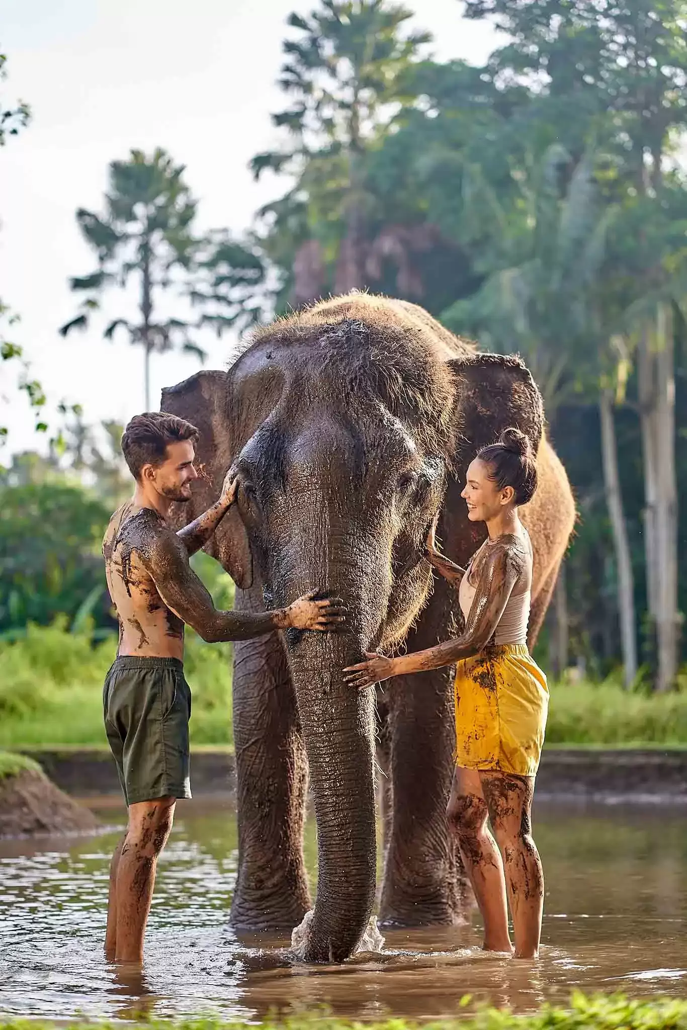 Elephant Mud Fun - Bali Zoo