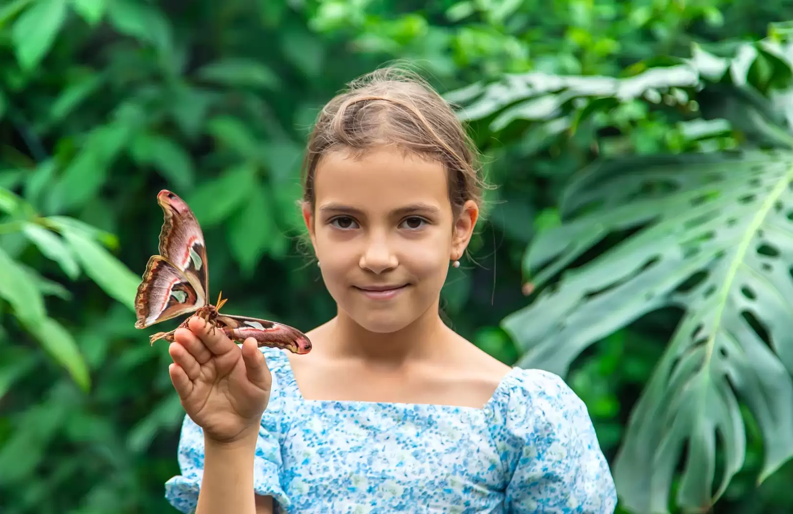 Discover the Story Behind Adrian Bali Tours