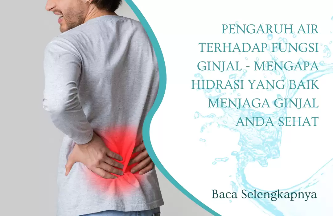 Pengaruh Air Terhadap Fungsi Ginjal - Mengapa Hidrasi yang Baik Menjaga Ginjal Anda Sehat