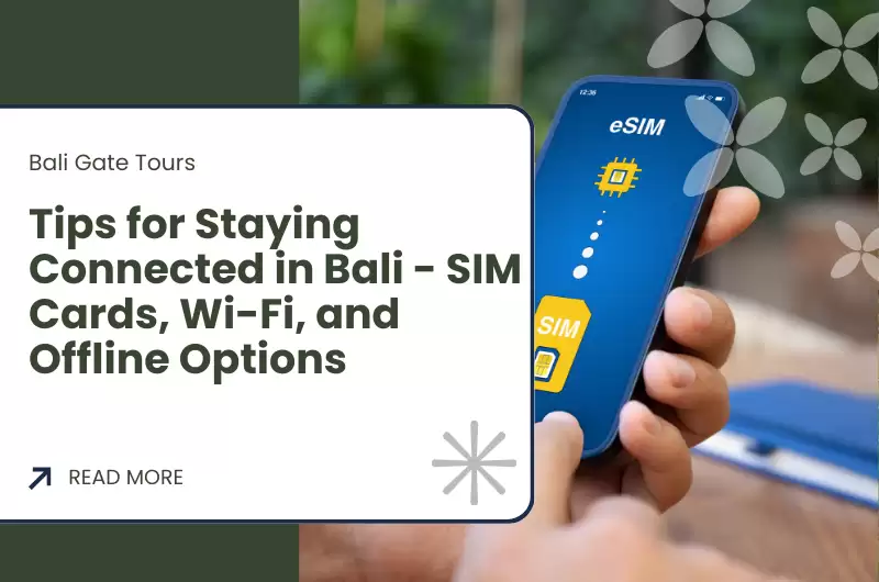 Tips for Staying Connected in Bali - SIM Cards, Wi-Fi, and Offline Options