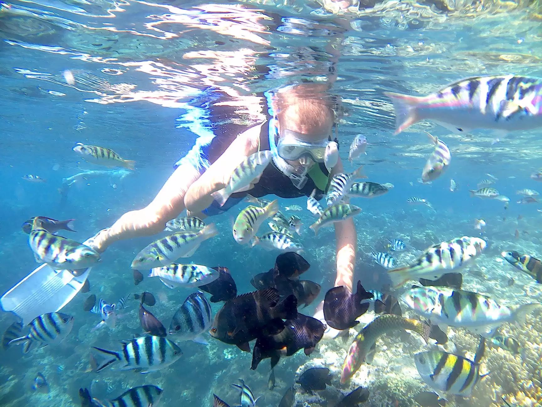 Snorkeling Blue Lagoon and Tanjung Jepun