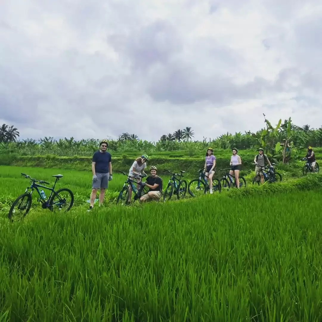 Cycling Tour