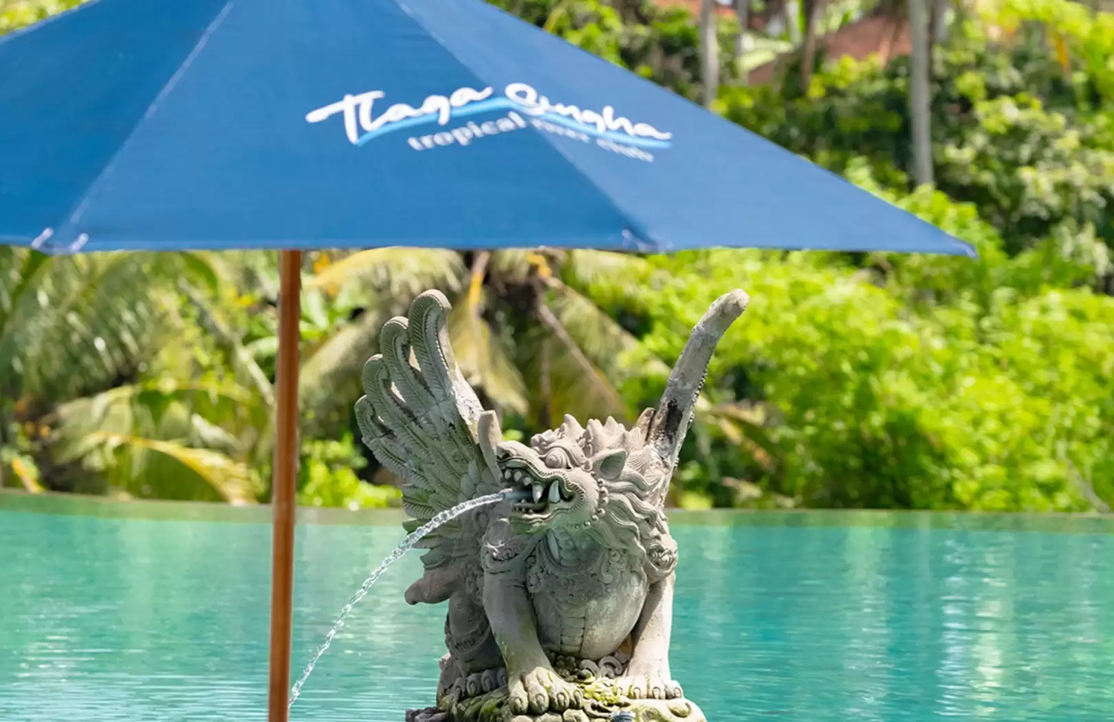 ATV + Telaga Sigha Infinity Pool