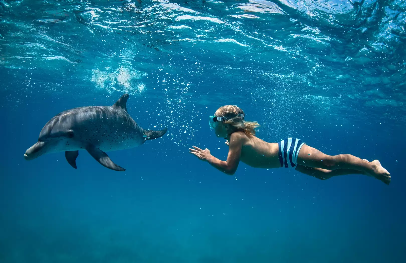 Best of North Bali - Dolphin Watching, Snorkeling, and Breakfast Combo Tour