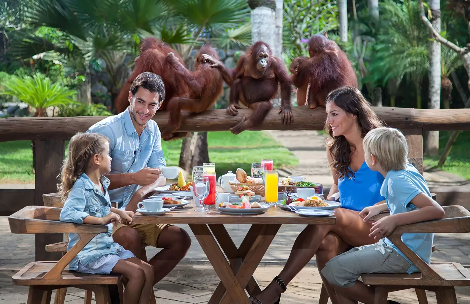 Breakfast with Orangutans and Thrilling White Water Rafting Adventure