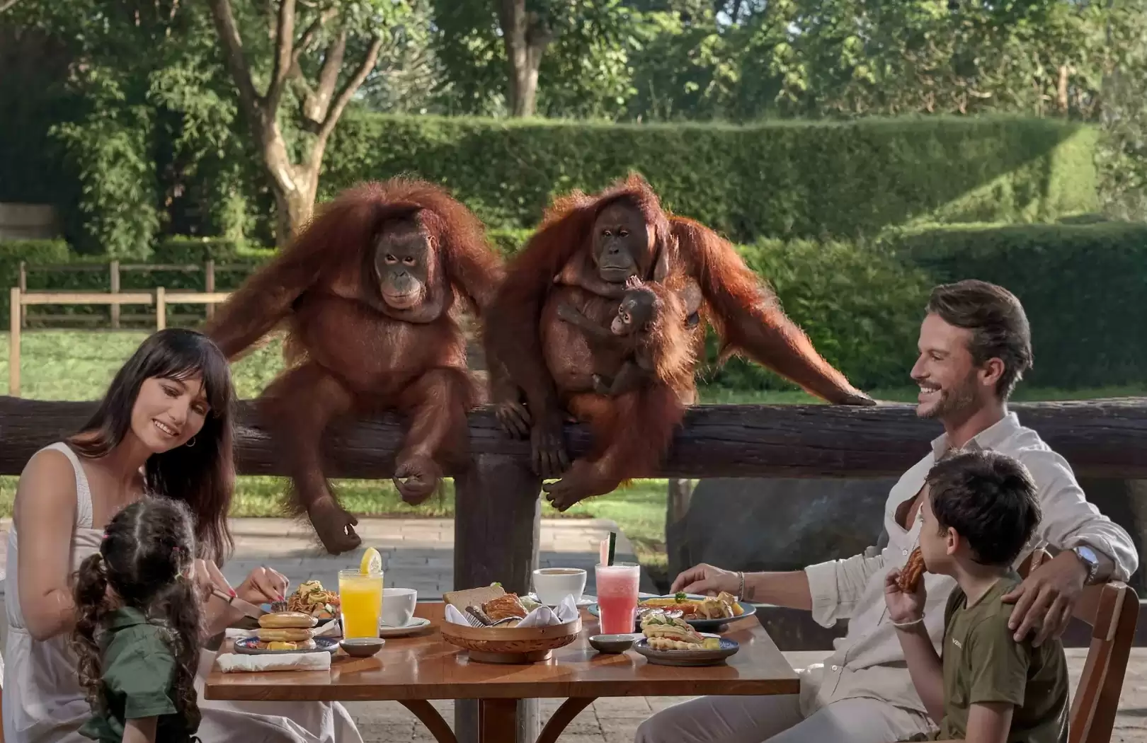 Breakfast with Orangutans and Thrilling White Water Rafting Adventure