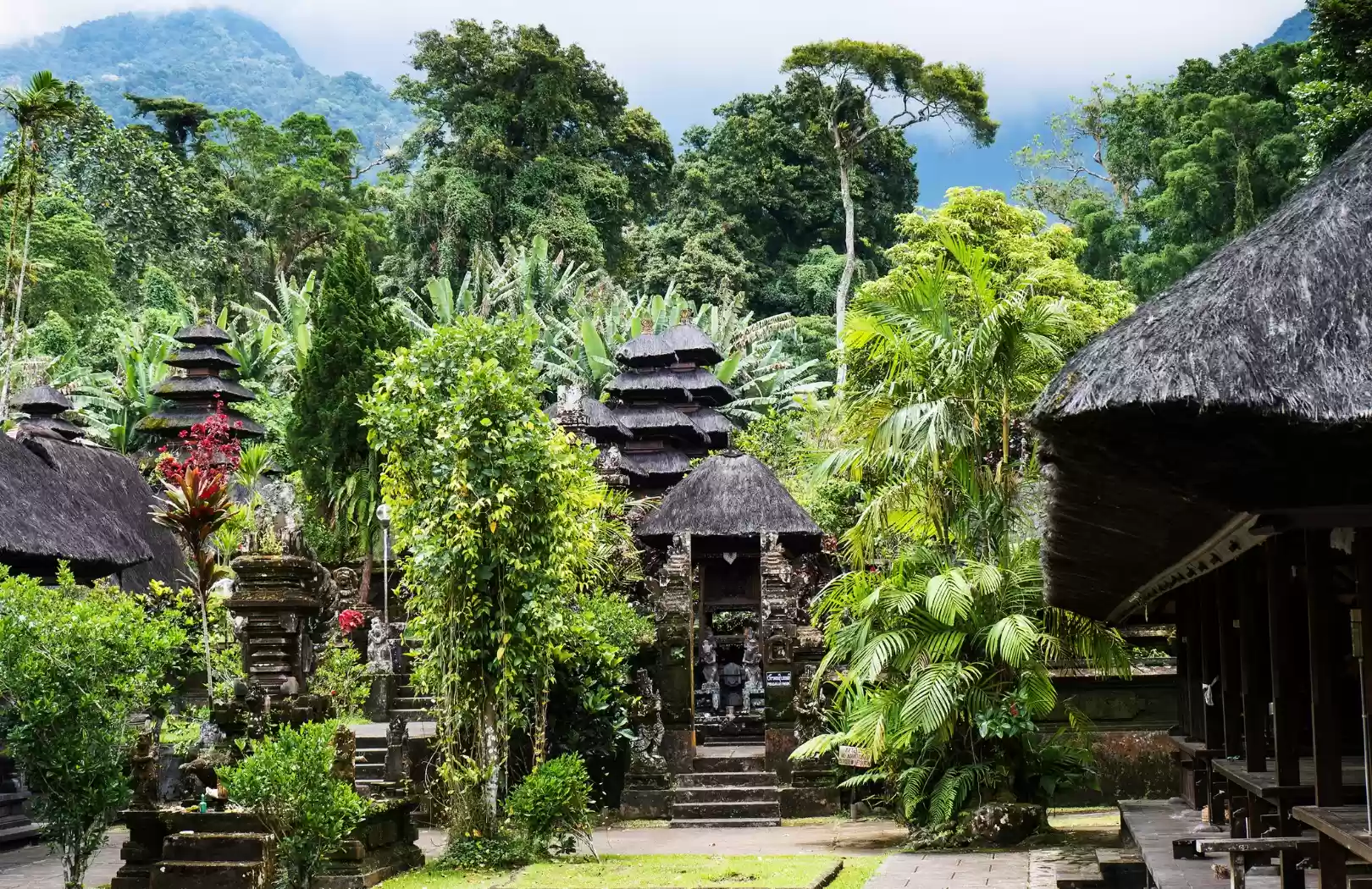 Rice Terrace Exploration & ATV Adventure Tour