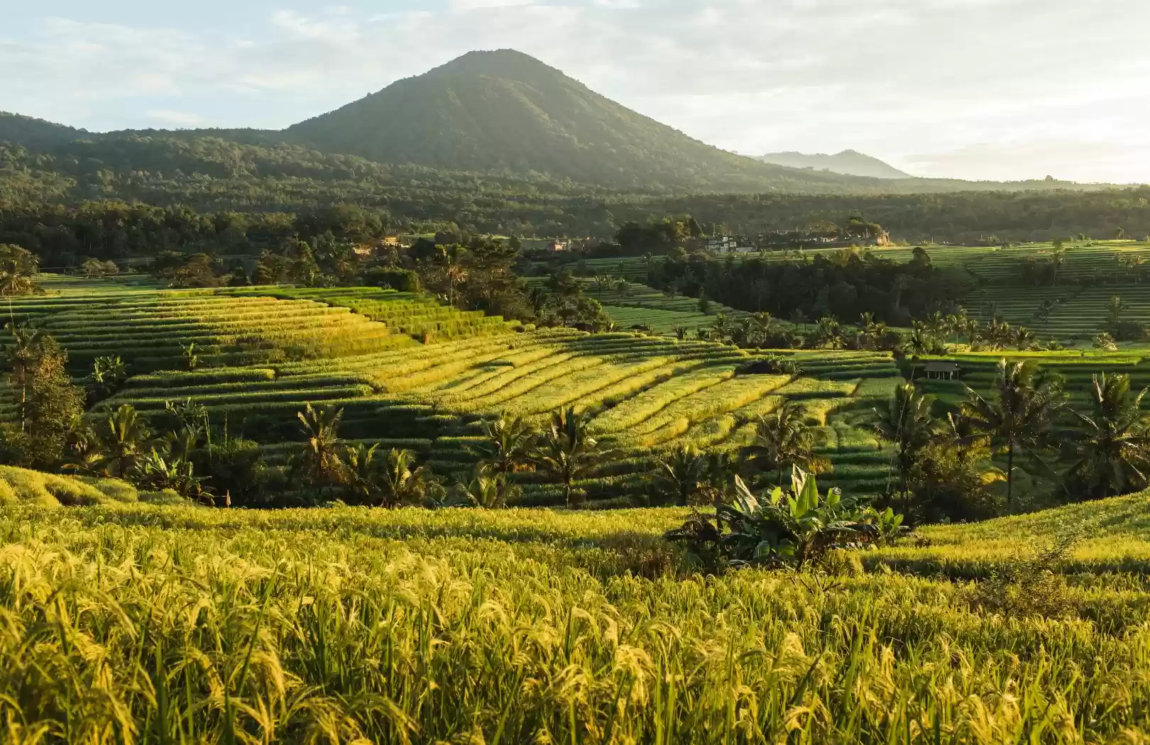 Rice Terrace Exploration & ATV Adventure Tour
