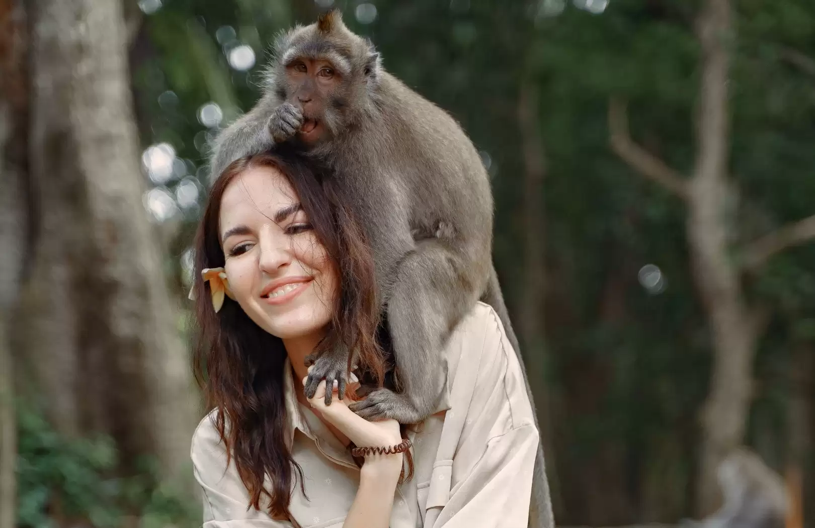 Cultural Ubud Art & Monkey Forest Adventure