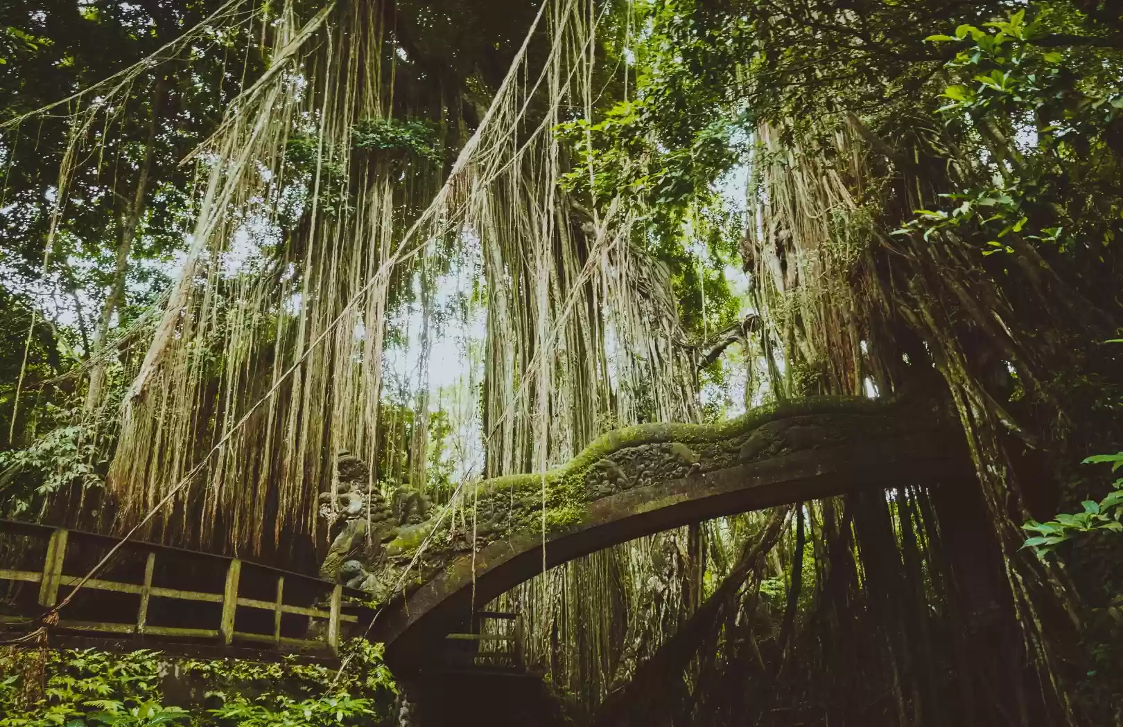 Cultural Ubud Art & Monkey Forest Adventure