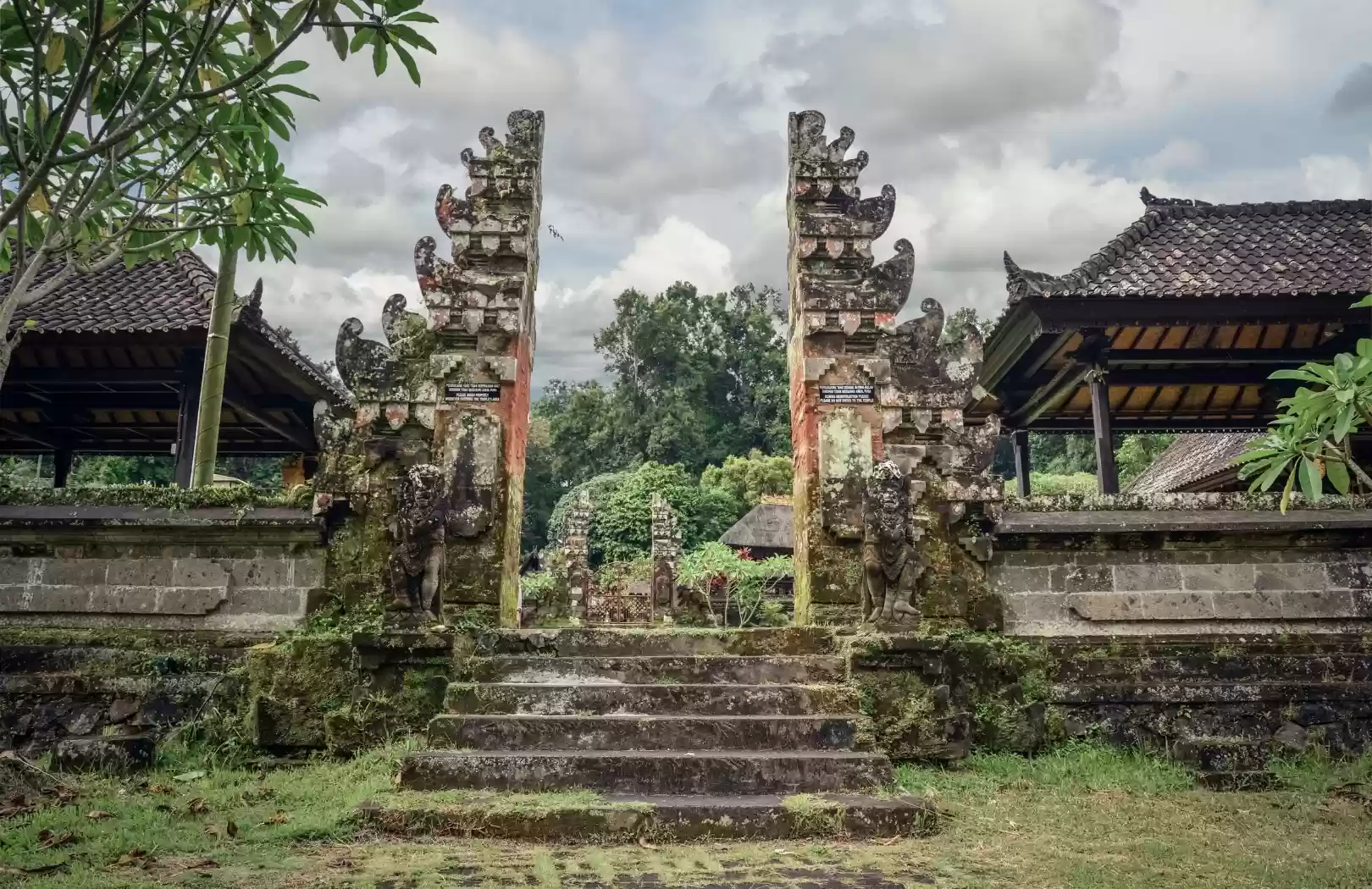 Jatiluwih Rice Terrace & Hot Spring Relaxation Tour