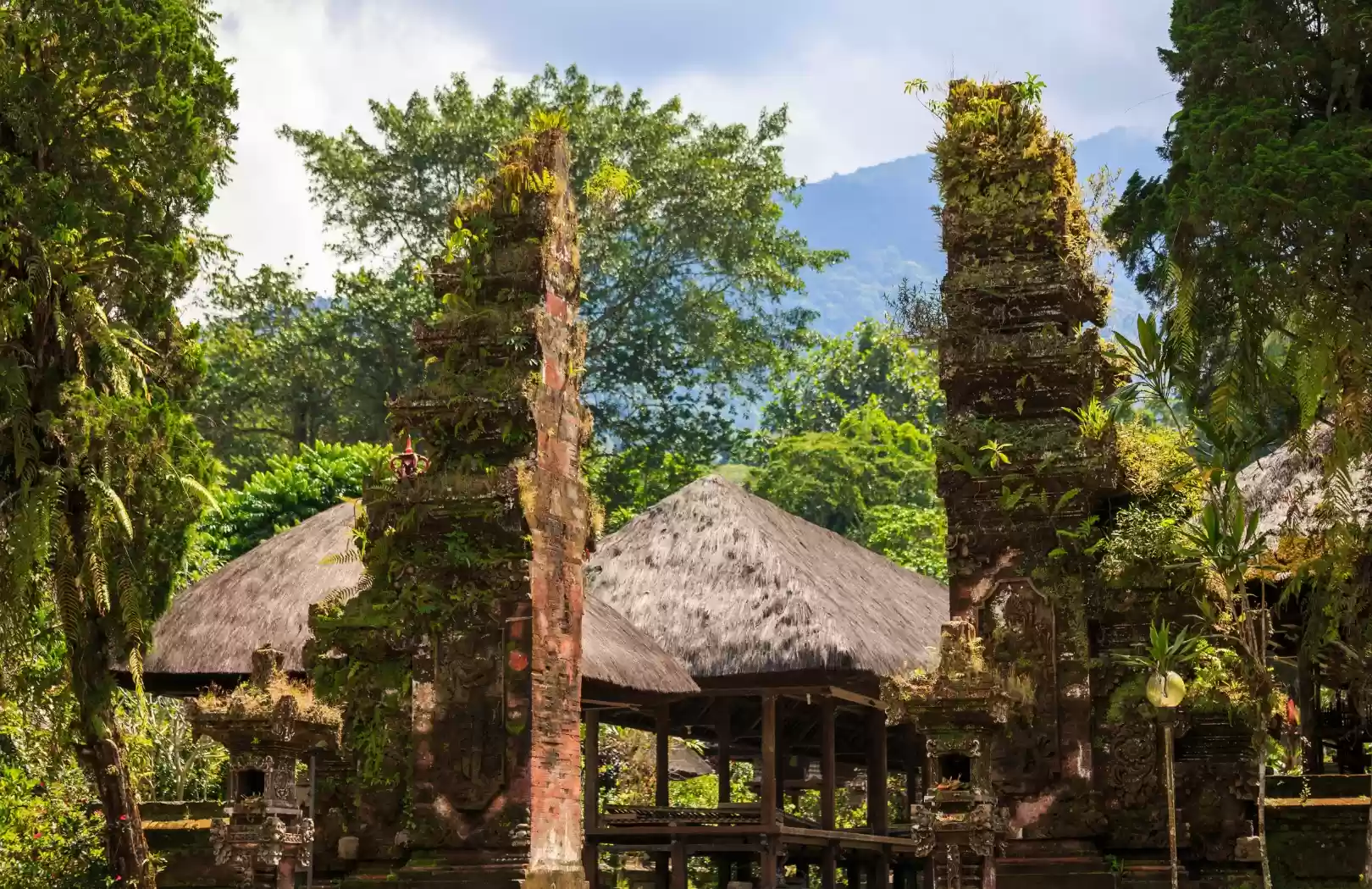 Jatiluwih Rice Terrace & Hot Spring Relaxation Tour