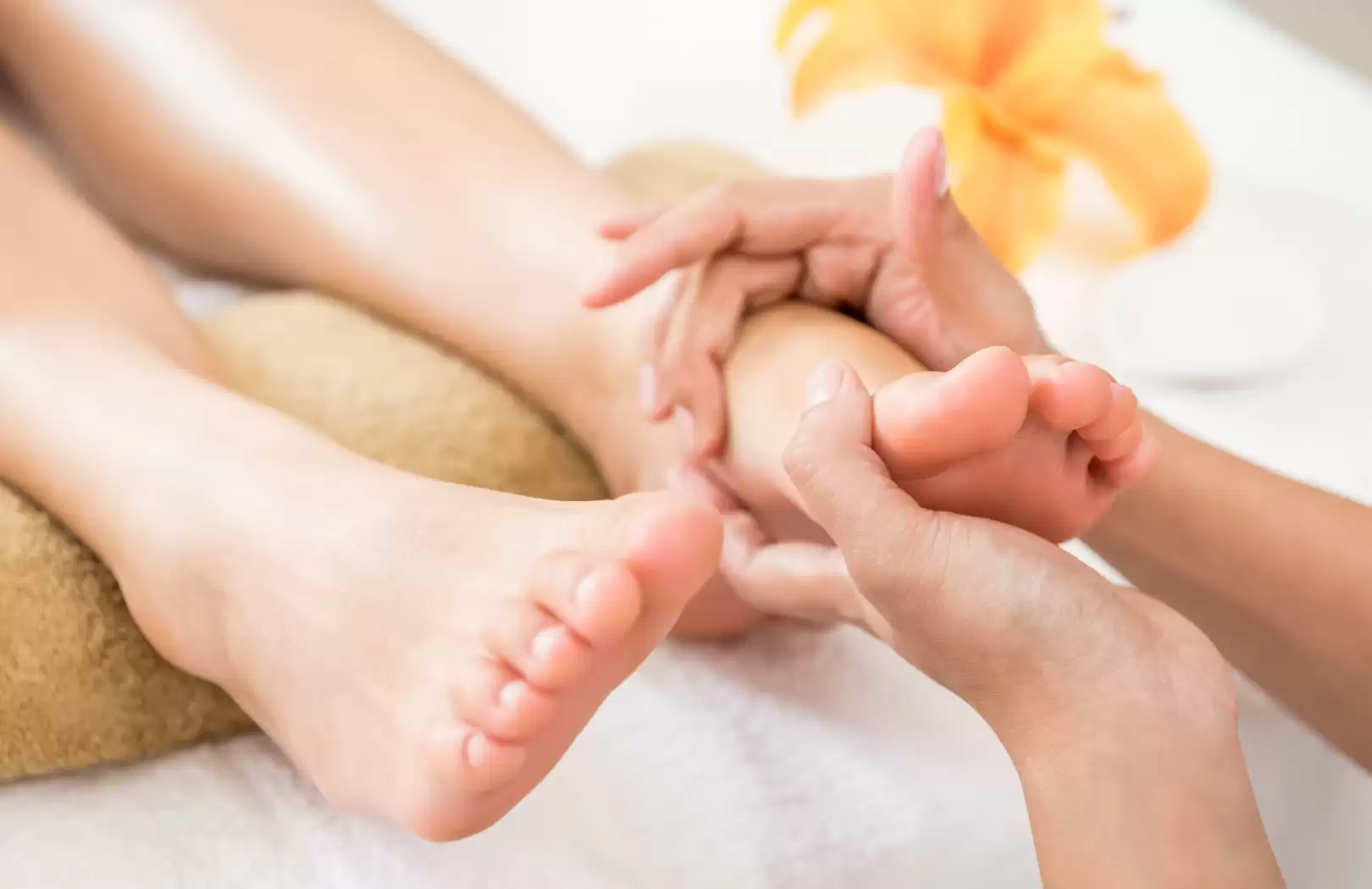 Reflexology + Body
