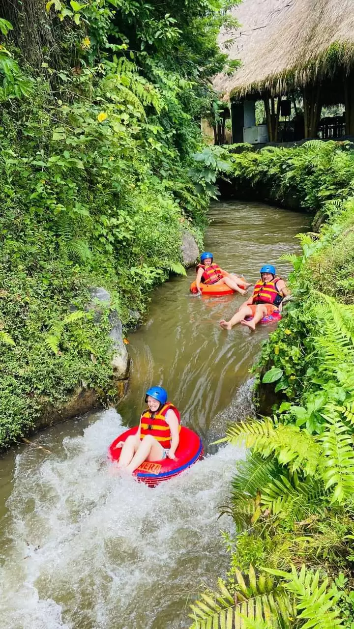 Ubud Full Day With Bali Swing Tour