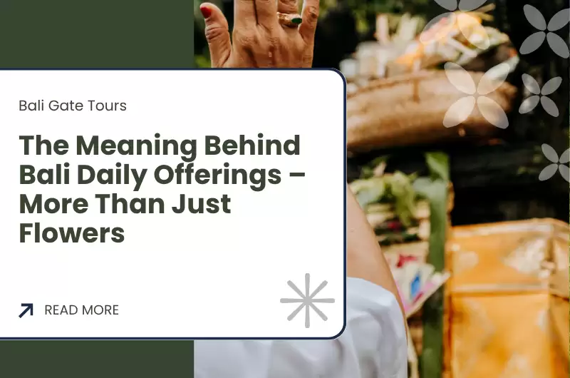 The Meaning Behind Bali Daily Offerings – More Than Just Flowers