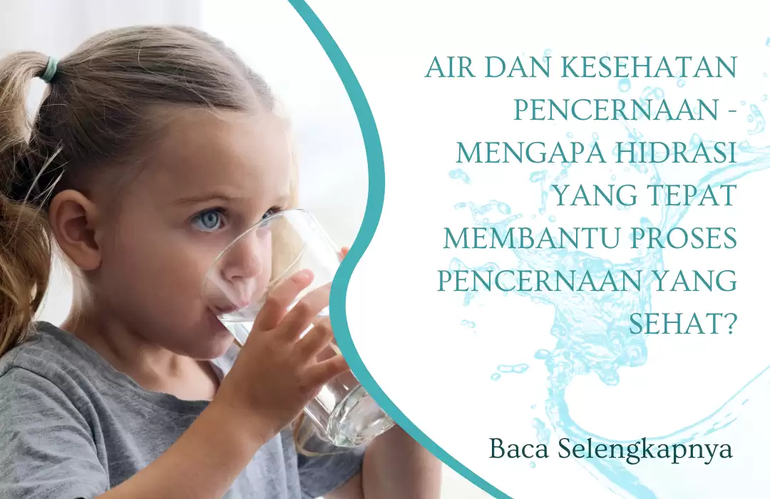 Air dan Kesehatan Pencernaan - Mengapa Hidrasi yang Tepat Membantu Proses Pencernaan yang Sehat?