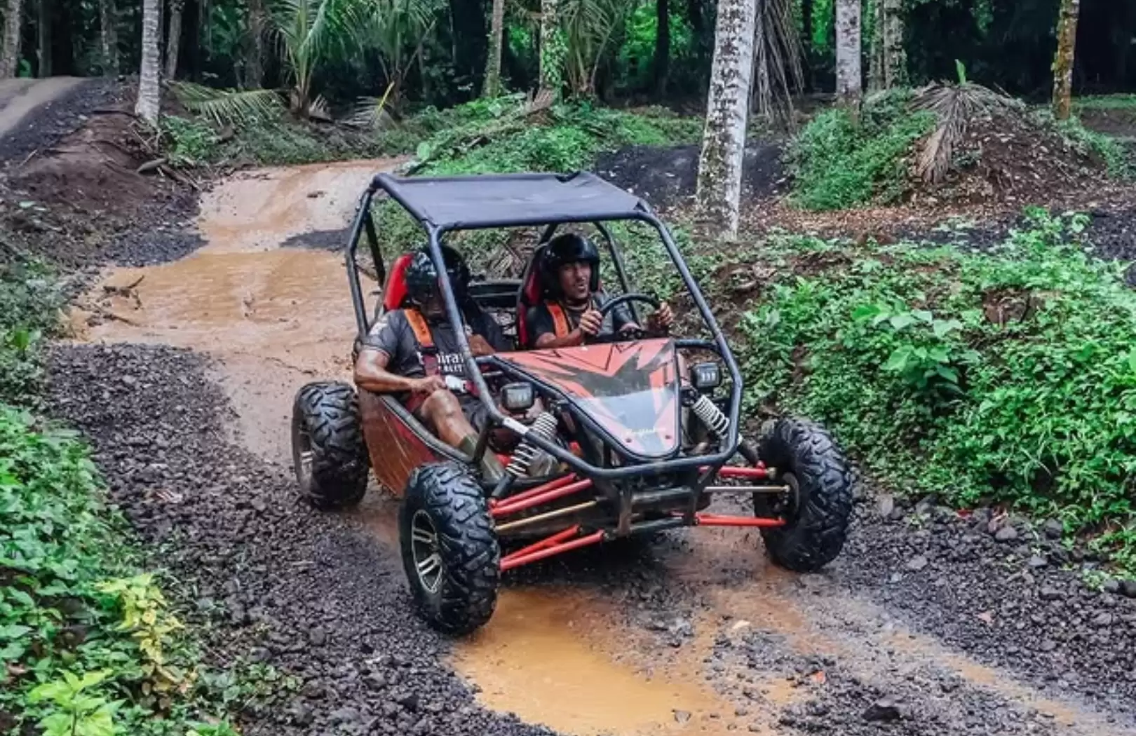Bali Jungle Buggy, Breakfast with Orangutan & Instagramable Bali Swing Adventure