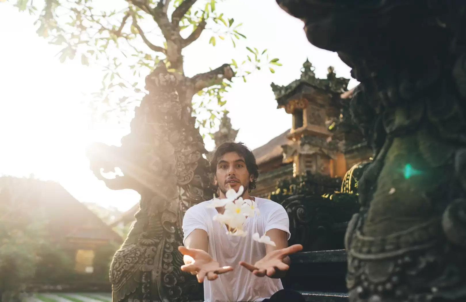 Ubud and Bali Swing Tour: Waterfalls, Rice Terraces, and Thrills