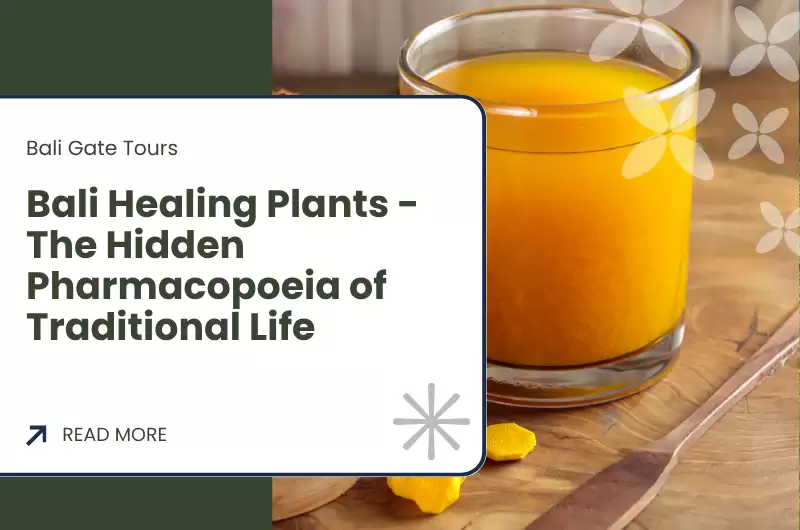 Bali Healing Plants - The Hidden Pharmacopoeia of Traditional Life