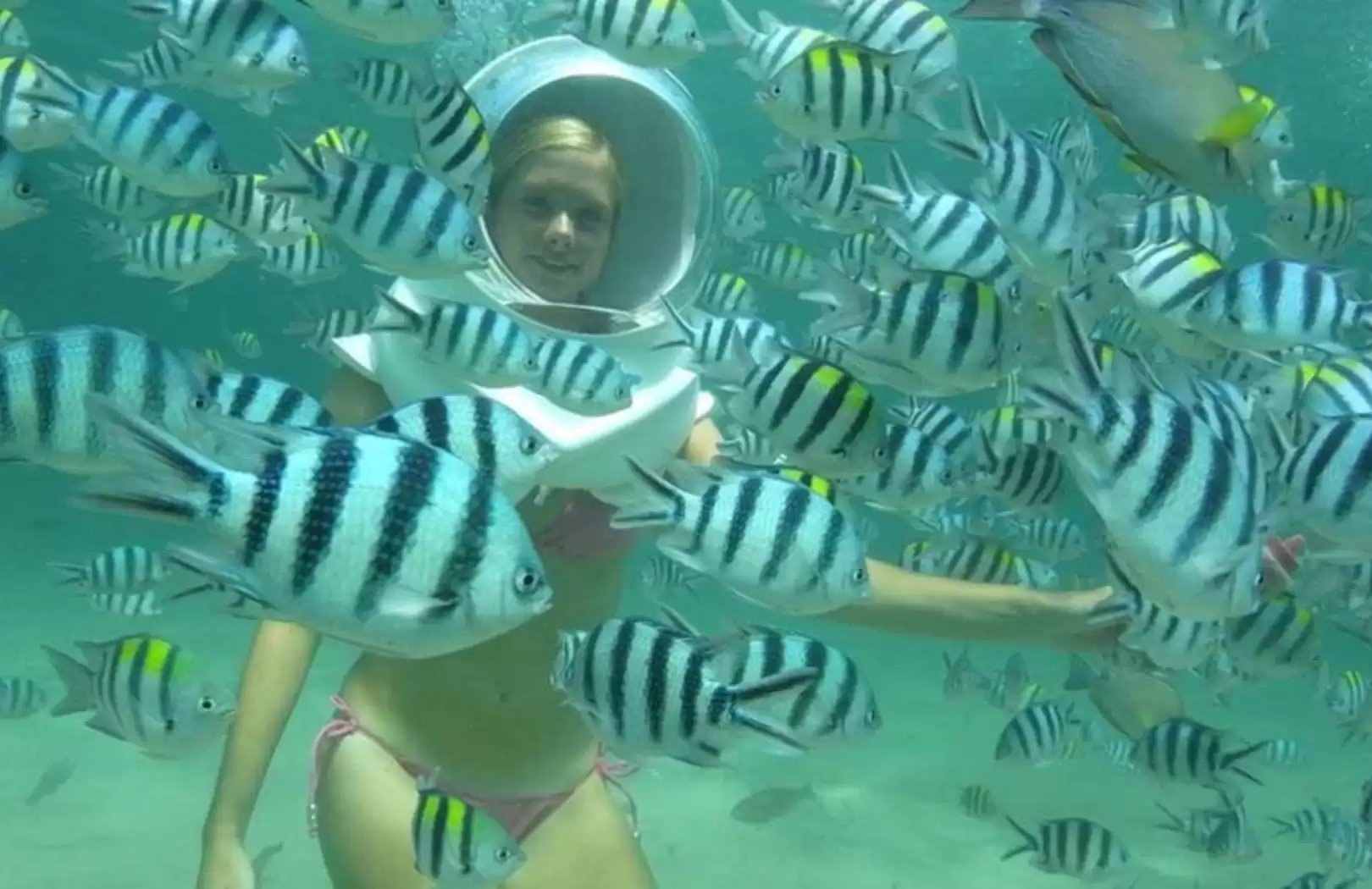 Bali Sea Walker Tour 