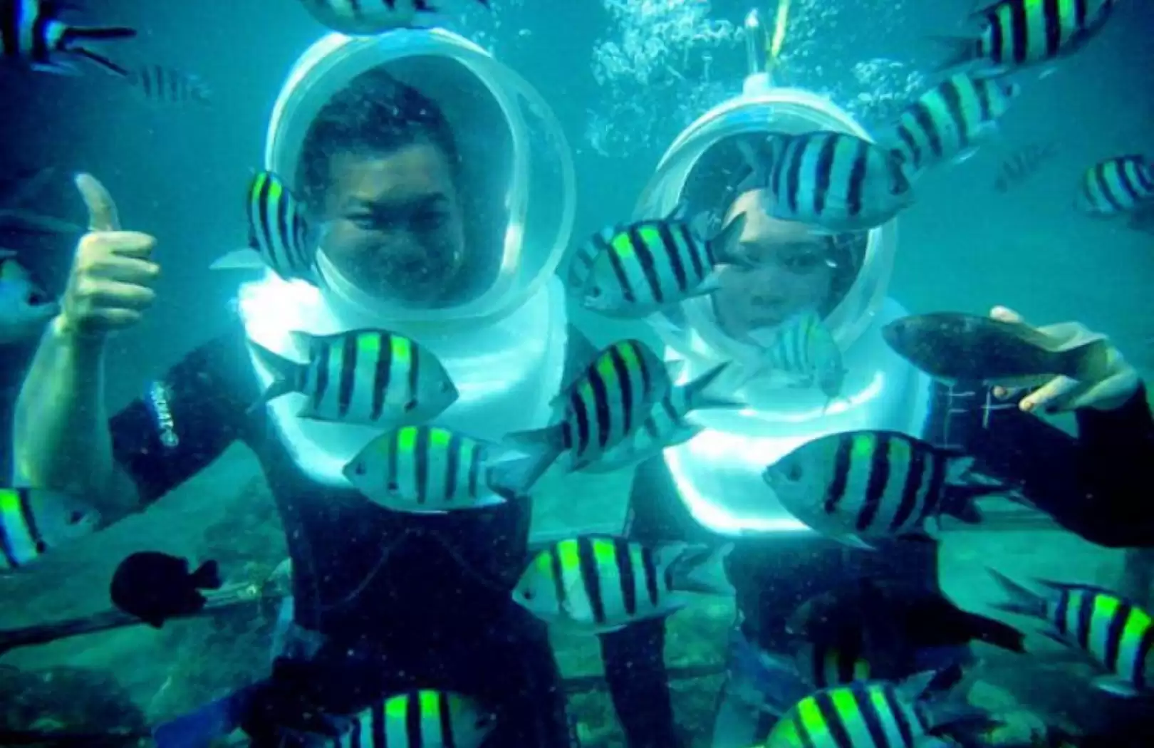 Bali Sea Walker Tour