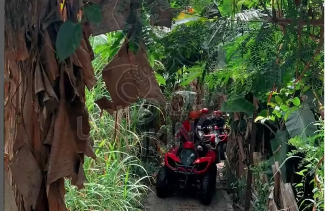Beyond the Beach - Quad Biking in Ubud for Thrill Seekers Who Love Exploring Bali Wilderness
