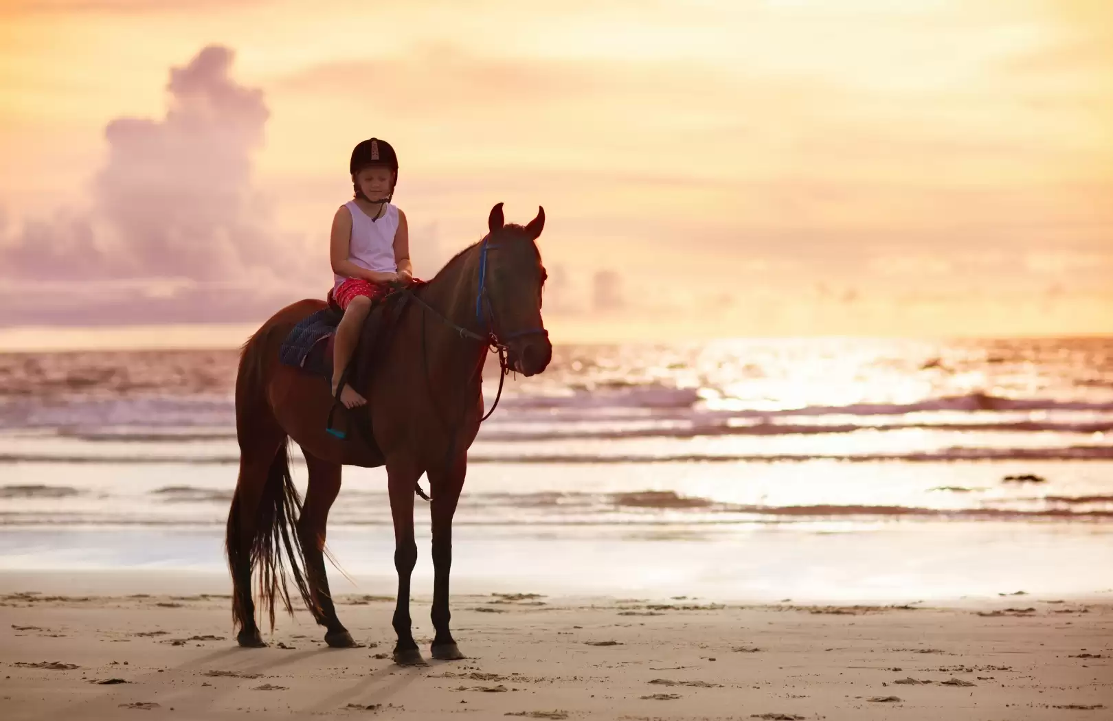 Bali Horse Riding