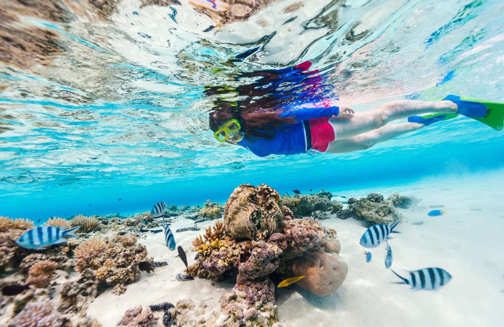 Snorkeling Package