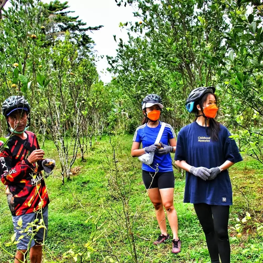 Bali Cycling Tour