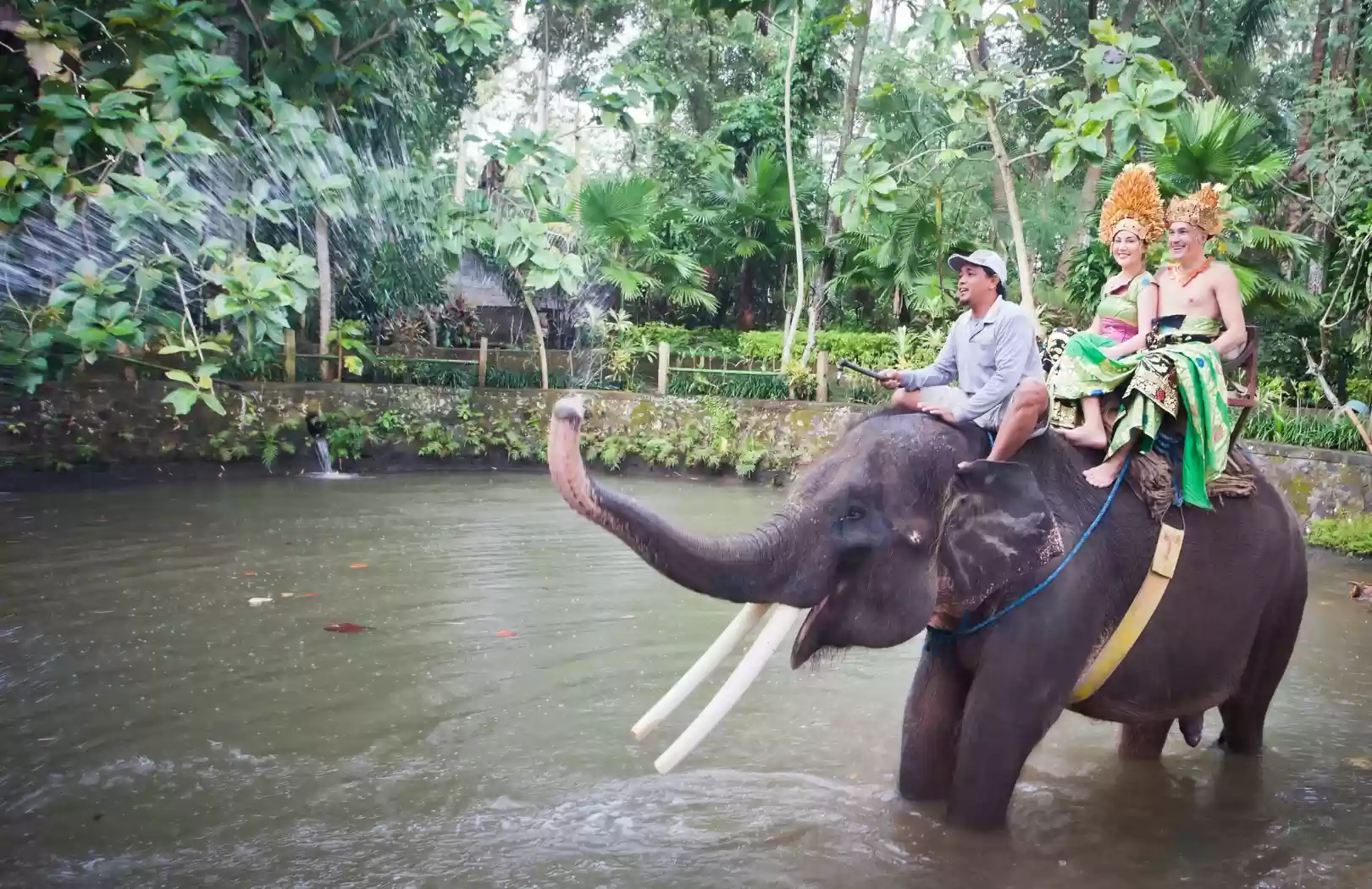 Bali Elephant Ride