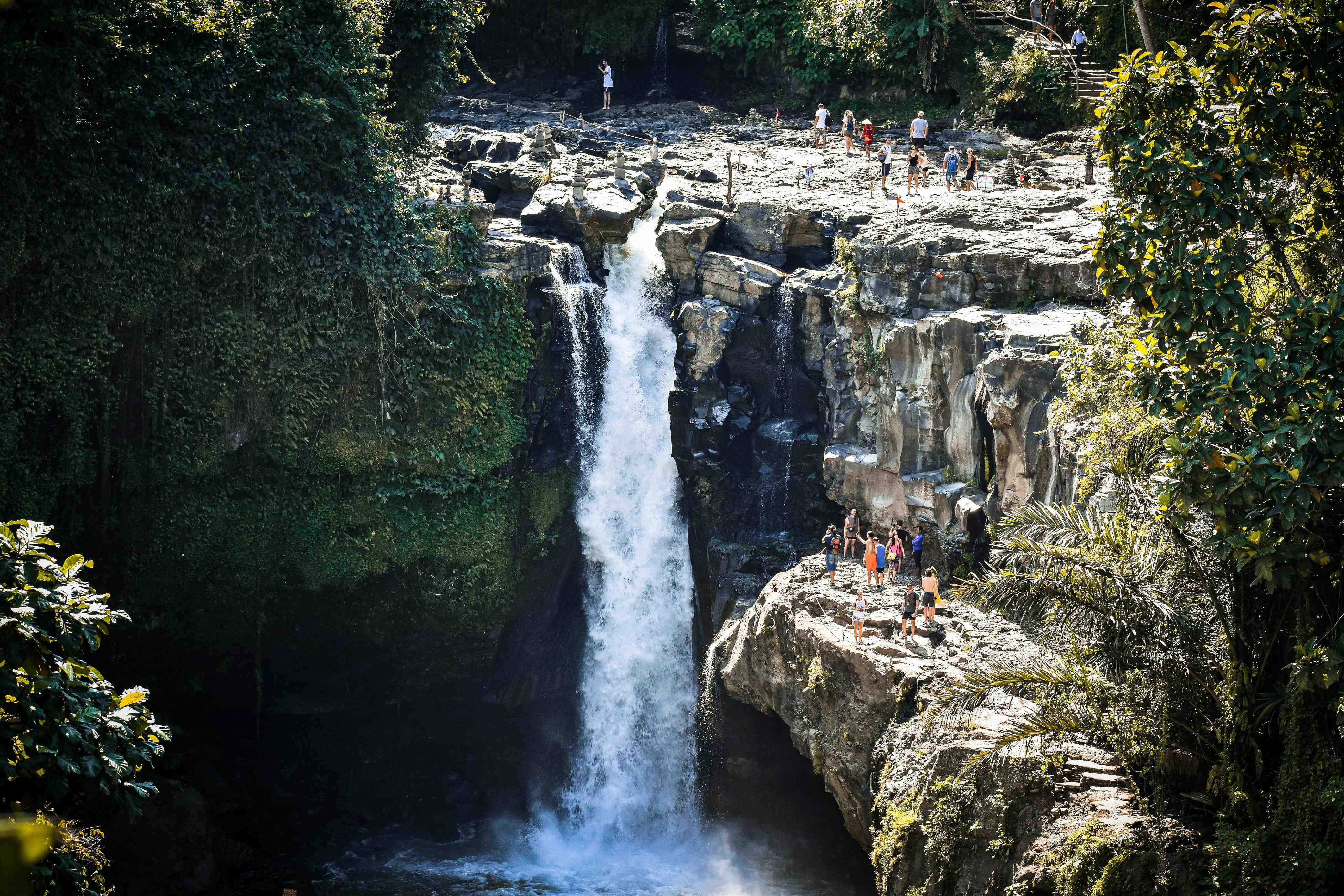 One Day Ubud Tour