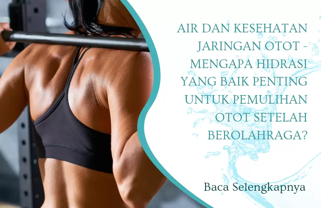 Air dan Kesehatan Jaringan Otot - Mengapa Hidrasi yang Baik Penting untuk Pemulihan Otot Setelah Berolahraga?