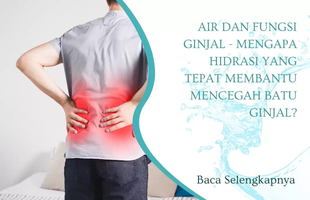 Air dan Fungsi Ginjal - Mengapa Hidrasi yang Tepat Membantu Mencegah Batu Ginjal?