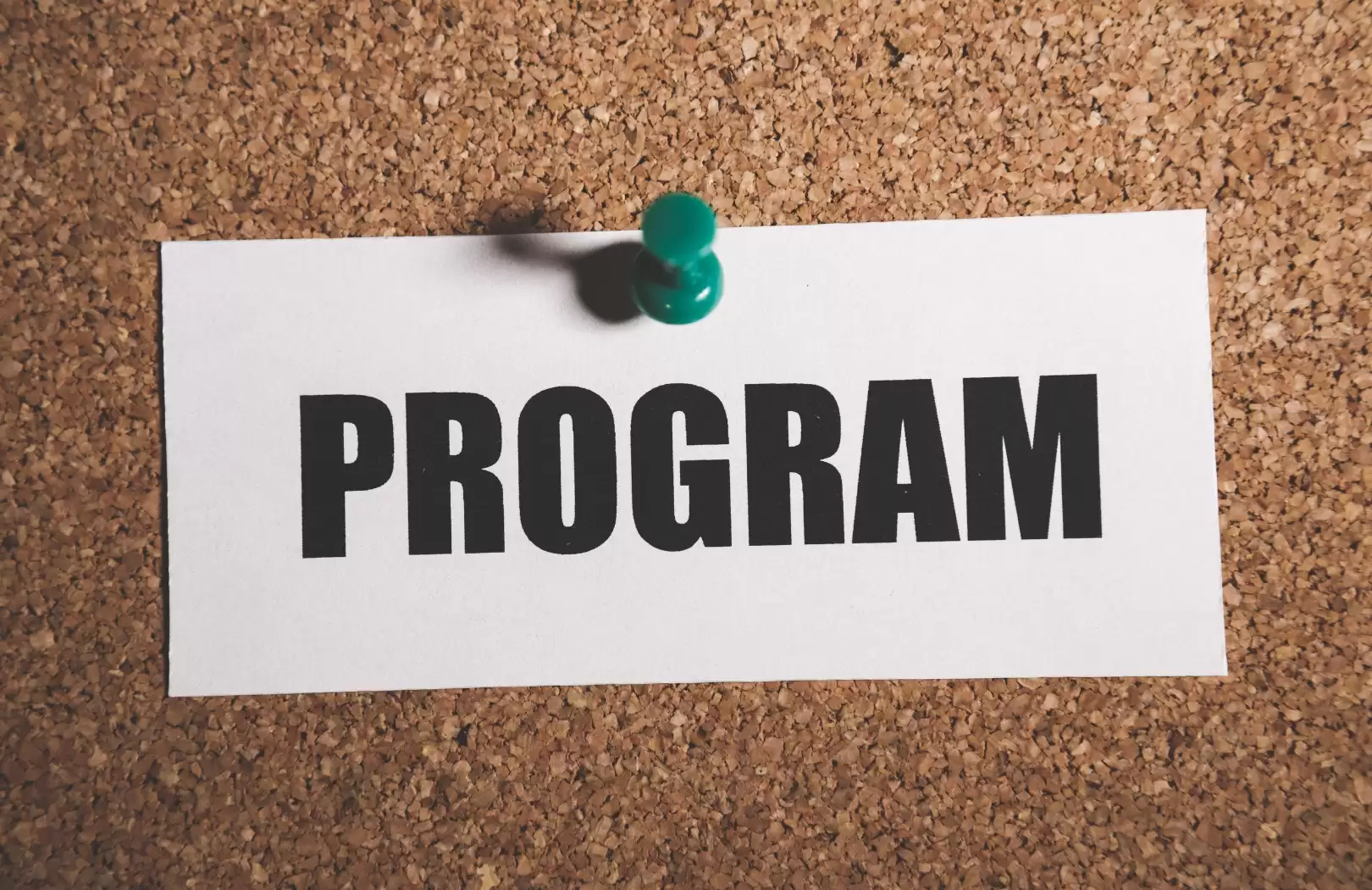 Apa Itu Program SSW Jepang? Panduan Lengkap untuk Pemula