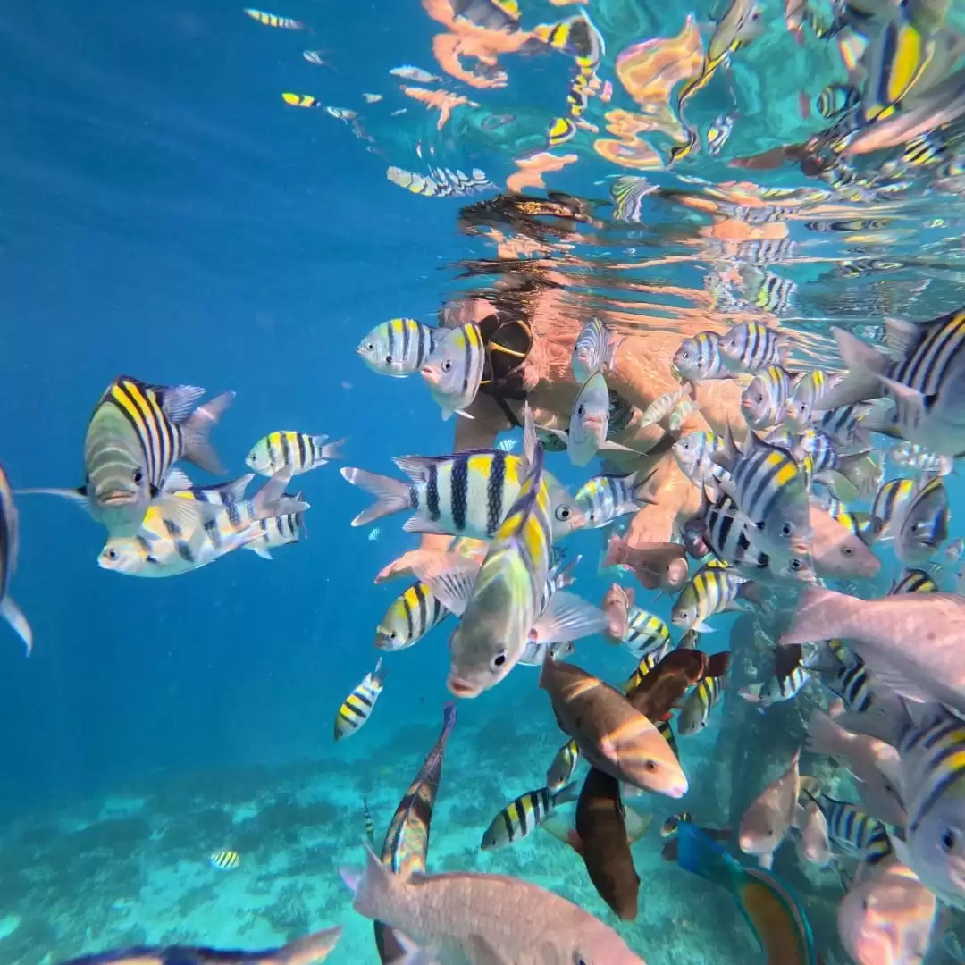 Package 2 : Gili Trawangan – Gili Meno – Gili Air – Gili Trawangan