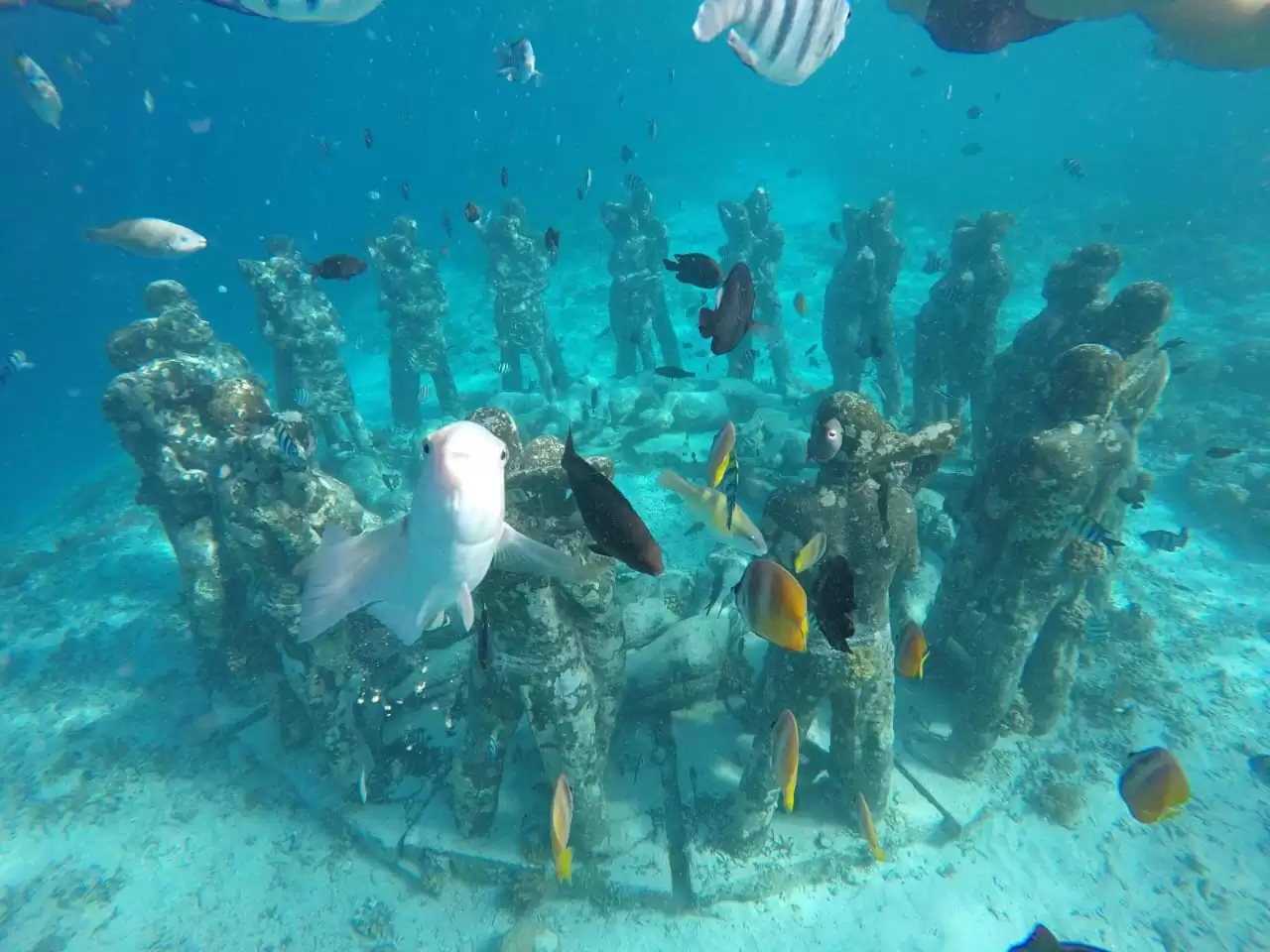 Package 2 : Gili Trawangan – Gili Meno – Gili Air – Gili Trawangan